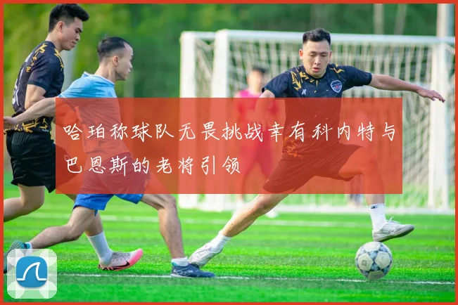 哈珀称球队无畏挑战幸有科内特与巴恩斯的老将引领